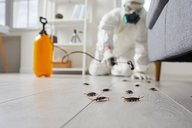 Commercial Rodent Management in Snellville